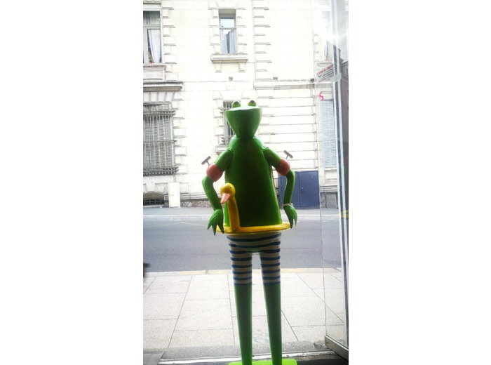 Grenouille Déco Xl Canard