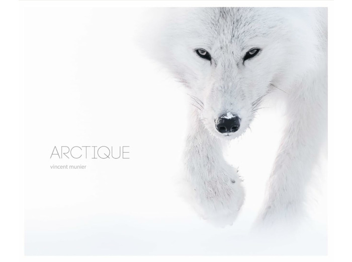 ARCTIQUE
