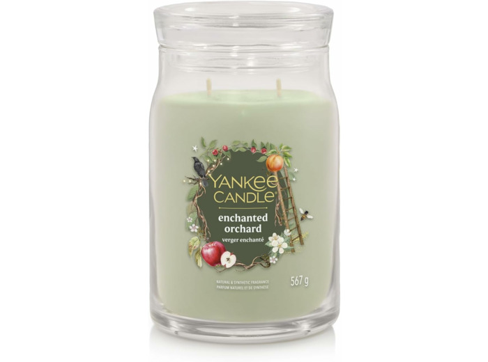Yankee Candle Bougie parfumée dans un verre (grande) - Bougie signature « Collection automne 2025 » - Durée de combustion : jusqu'à 90 heures