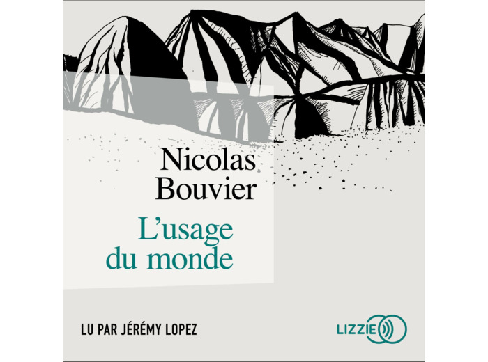L'USAGE DU MONDE (GRAND FORMAT)