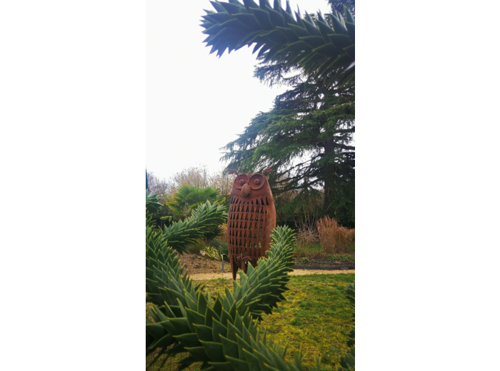 Chouette Xl En Acier Rouillé