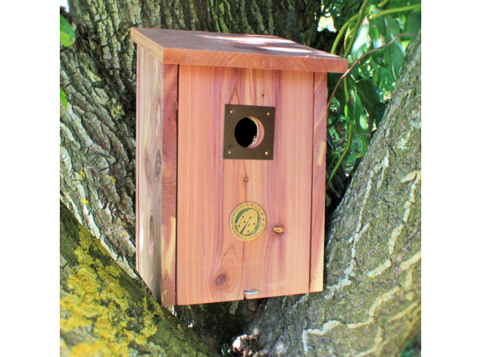 NICHOIR A MESANGES BLEUES RED CEDAR - TROU D'ENVOL Ø 28mm