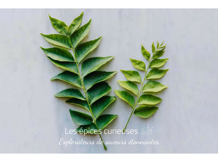 Feuilles de curry frais Kaloupilé