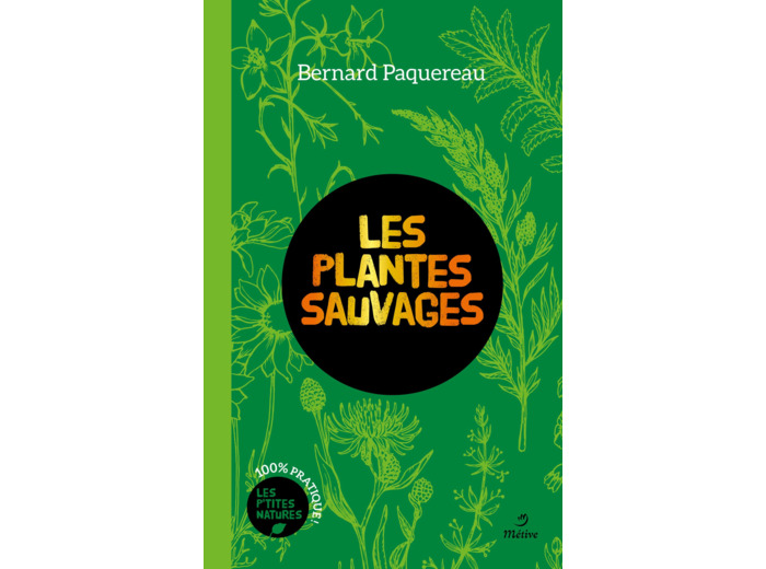 PLANTES SAUVAGES (COLL. LES P'TITES NATURES) (DI) (BP)