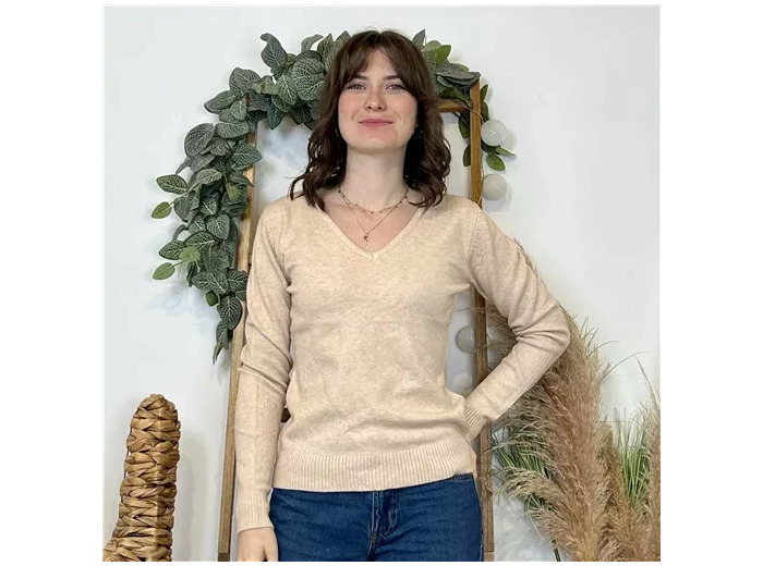 Y370- Pull Épais sans laine «Voggo» (T36-T48) (beige)