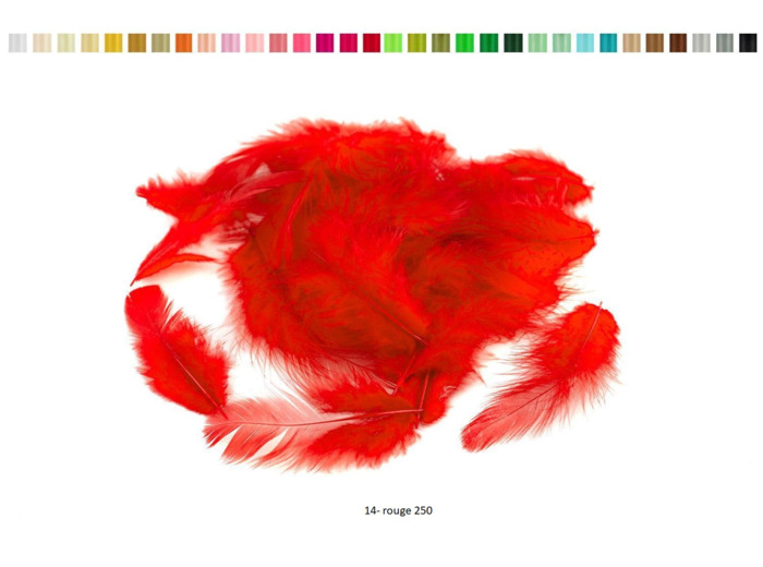 Plumes marabout sachet de 5 g environ 80 pieces par sachet rouge ref 250