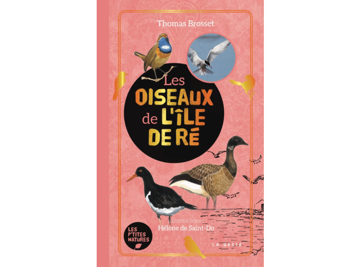 OISEAUX DE L'ILE DE RE (GESTE) (POCHE - RELIE) COLL. BAROQUE
