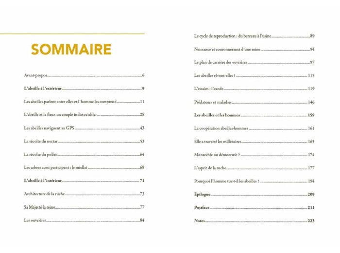 LA VIE SECRETE DES ABEILLES - L'ESPRIT DE LA RUCHE
