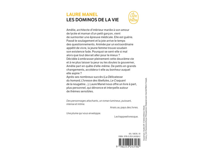 LES DOMINOS DE LA VIE