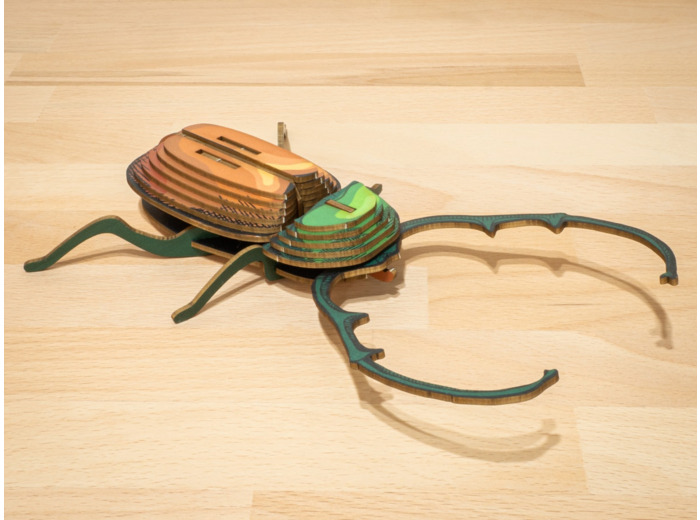 Calingratus en Carton