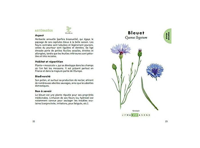 LE PETIT GUIDE DES PLANTES A ABEILLES - 70 ESPECES MELLIFERES A DECOUVRIR