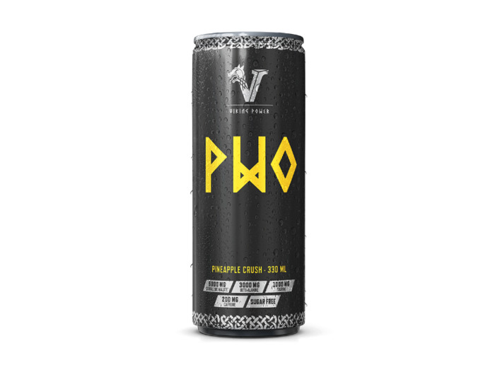 VIKING POWER PWO 330ML