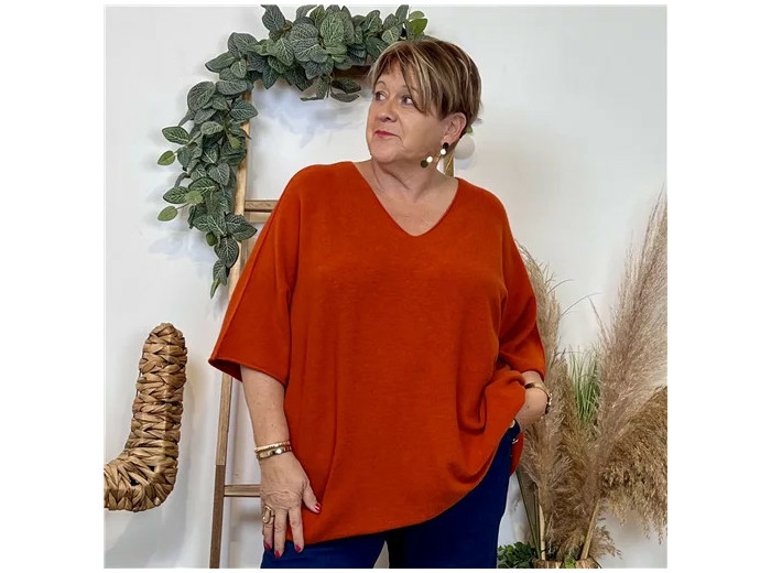 Z125- Pull loose Crop-Top (Gt) 🇮🇹 (rouille)