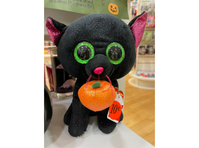 Peluche - Chat - Potion