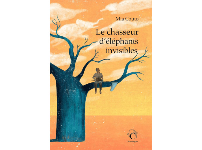 LE CHASSEUR D'ELEPHANTS INVISIBLES