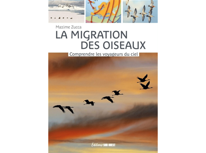 LA MIGRATION DES OISEAUX - COMPRENDRE LES VOYAGEURS DU CIEL