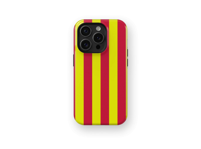 Colorful Stripes Case | Coque de téléphone 3D 2en1 Ultra-résistante