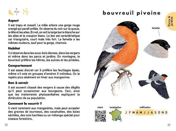 LE PETIT GUIDE DES OISEAUX - 70 ESPECES A DECOUVRIR