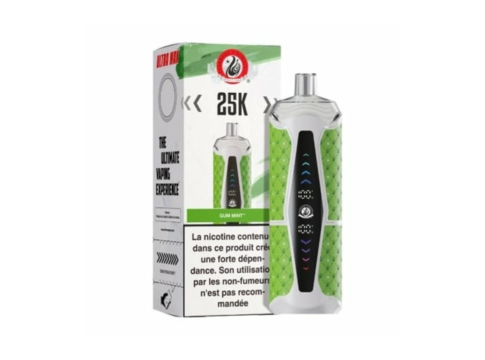 Puff Chicha - Gum Mint - 25K Starbuzz