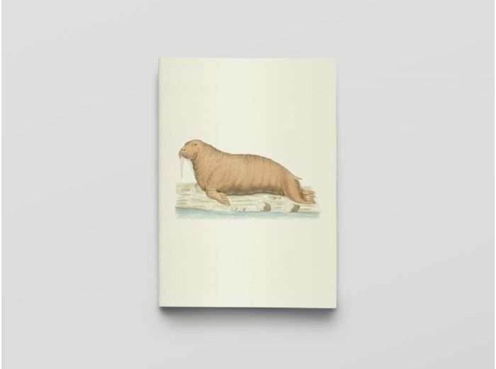 CARNET - ZOOLOGICA DANICA - NOTES ET LECTURES