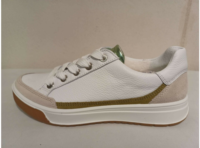 ARA  50004 B V