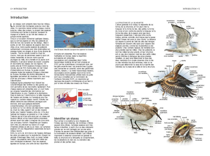 TOUS LES OISEAUX D'EUROPE