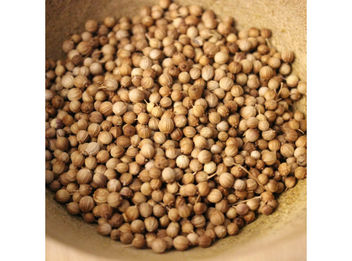 Graines de Coriandre
