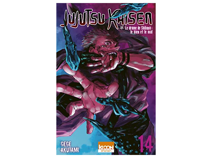 JUJUTSU KAISEN T14