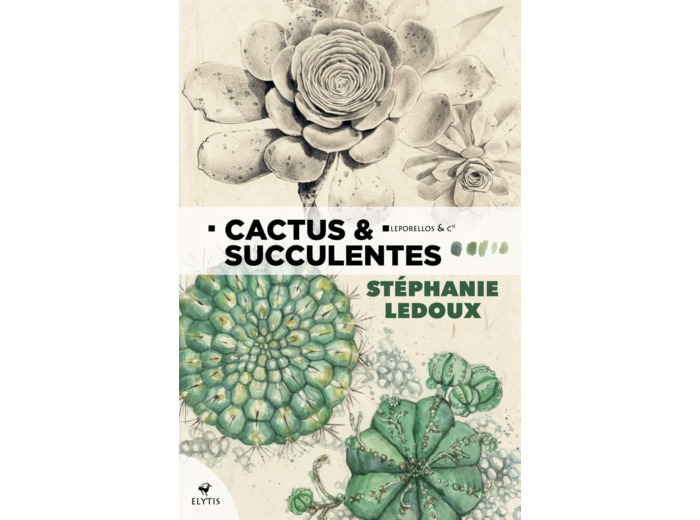 CACTUS & SUCCULENTES