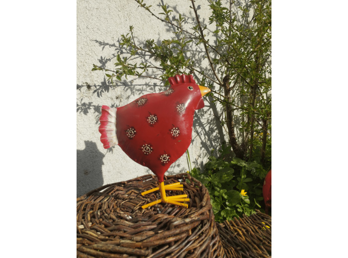 Poulette rouge imprimé