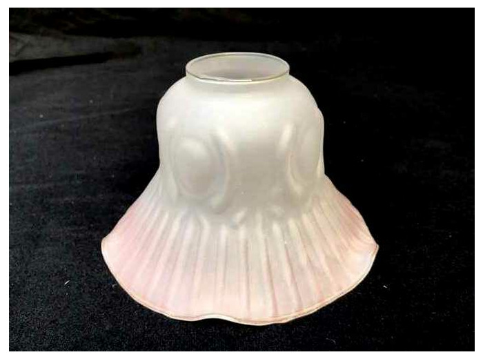 Tulipe rose pâle dépolie