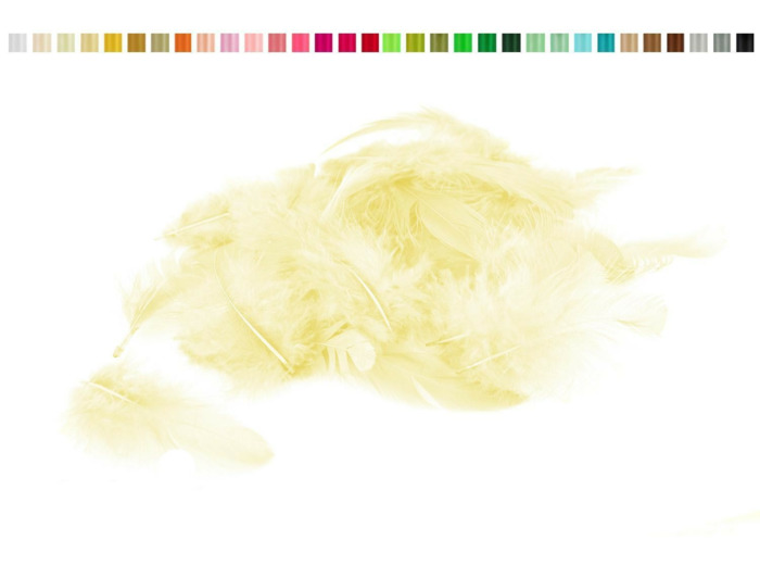 Plumes 6-10 cm creme 820
