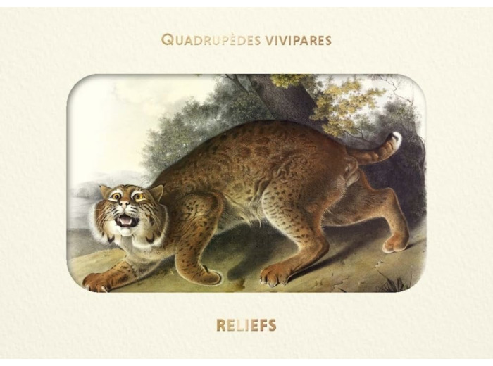 LIVRE D'IMAGES - QUADRUPEDES VIVIPARES D AMERIQUE