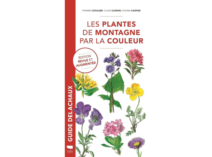 LES PLANTES DE MONTAGNE PAR LA COULEUR