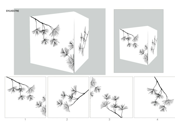 BAC IS BACK SYLVESTRE - 30cm x 30cm x 30cm - 4kg