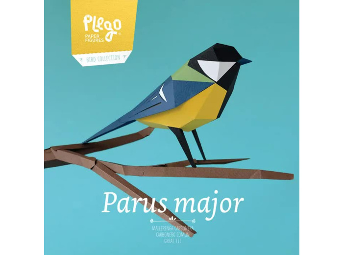 Mésange Charbonnière