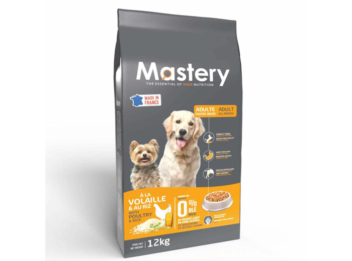 Mastery chien volaille