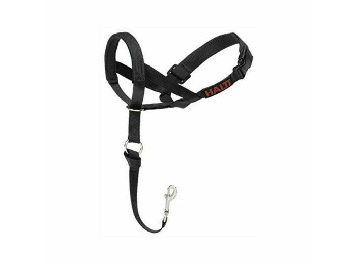 Company of Animals - Collier d'entraînement pour chiens - Taille 4