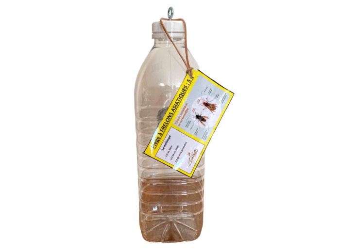 Piège à frelons asiatiques