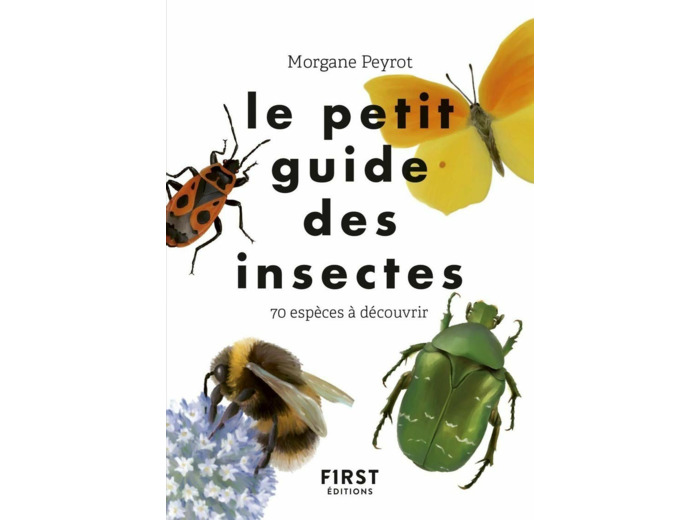 LE PETIT GUIDE DES INSECTES