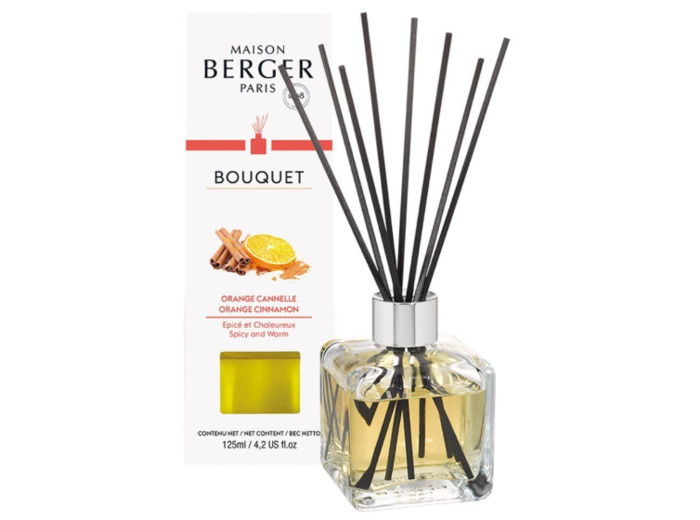 Bouquet Maison Berger Orange Cannelle