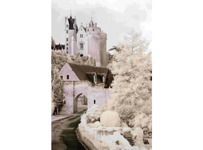 Château de Montreuil-Bellay