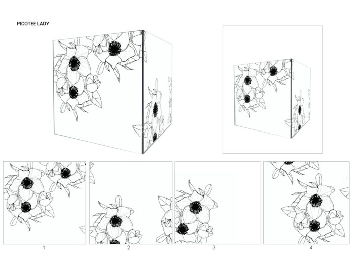 BAC IS BACK PICOTEE LADY - 30cm x 30cm x 30cm - 4kg