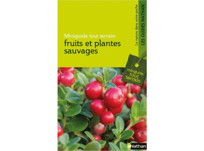 FRUITS ET PLANTES SAUVAGES RETREF