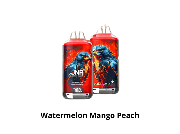 Puff 28k - JNR Falcon X + - Watermelon Mango Peach