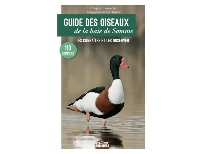 GUIDE DES OISEAUX DE LA BAIE DE SOMME - LES CONNAITRE ET LES OBSERVER