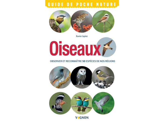 OISEAUX - OBSERVER ET RECONNAITRE 50 ESPECES DE NOS REGIONS