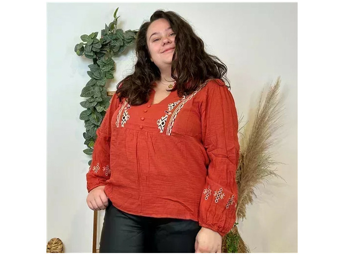 K769- Blouse coton brodée (T40-t48) (rouille)