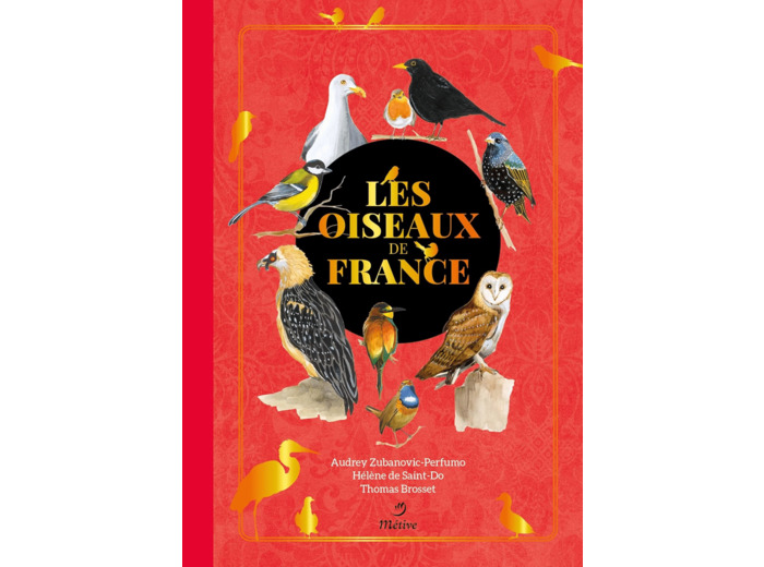 LES OISEAUX DE FRANCE