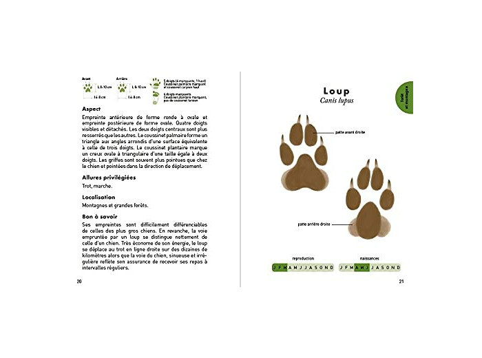 LE PETIT GUIDE DES EMPREINTES ANIMALES - 70 TRACES ET INDICES A OBSERVER